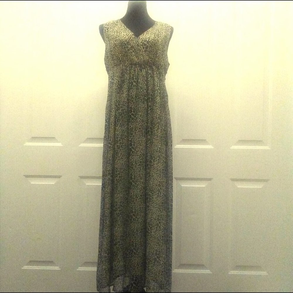 Animal Print Dress